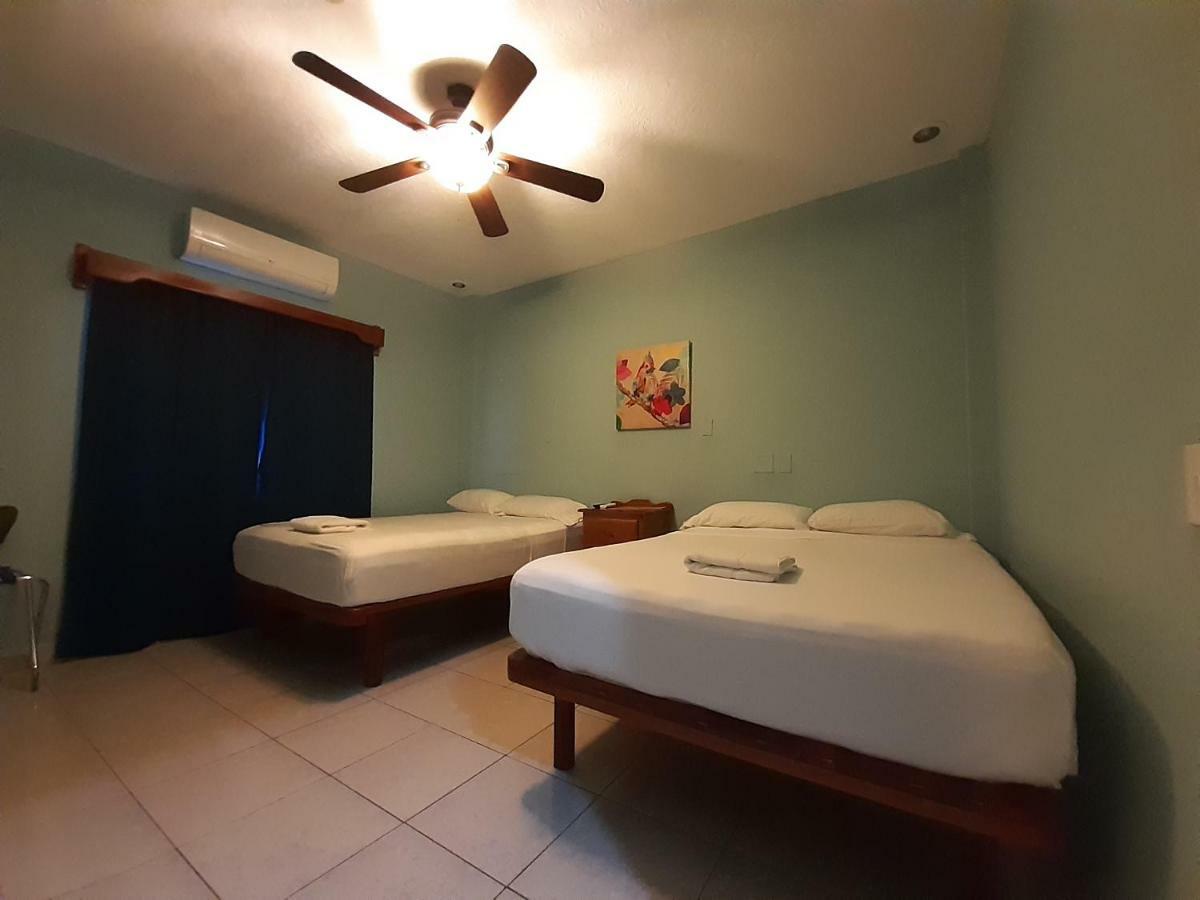 Maya Bella Downtown Hotel San Ignacio Dış mekan fotoğraf